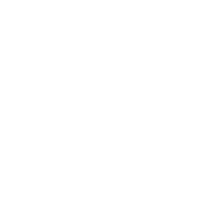 Sheikh Zaid Hospitals